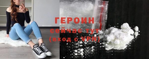 гидра Новозыбков