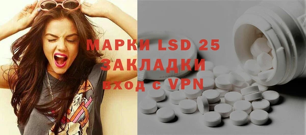 гидра Новозыбков