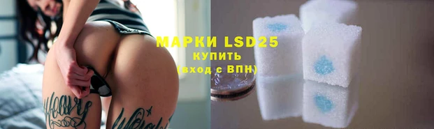 гидра Новозыбков