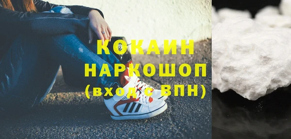 гидра Новозыбков
