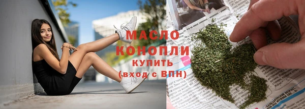 гидра Новозыбков