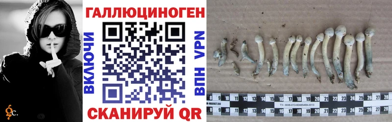 Купить  Колпашево  Галлюциногенные грибы GOLDEN TEACHER 